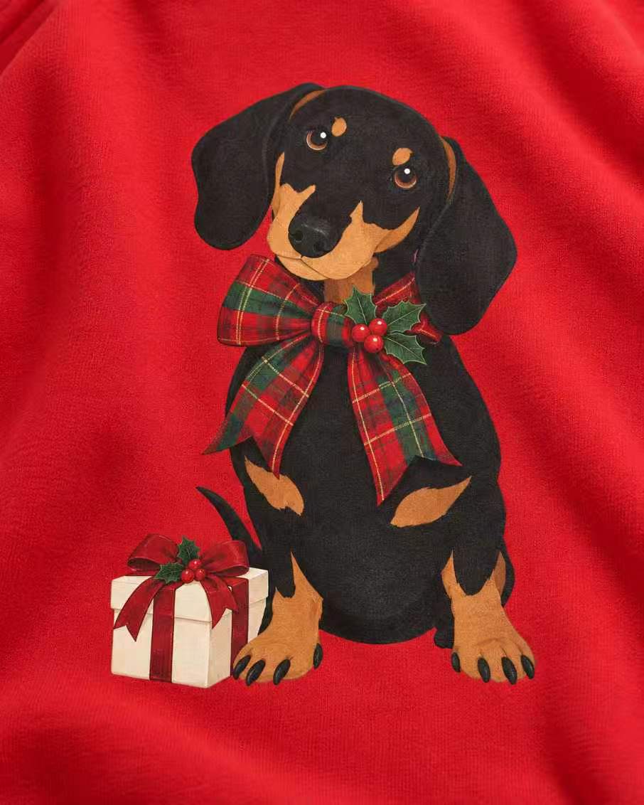 Weihnachts-Dackel-Hoodie – Kuschelig mit Schal und Geschenk